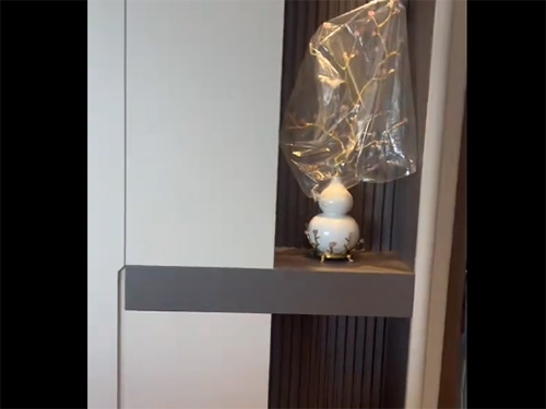 视频展示