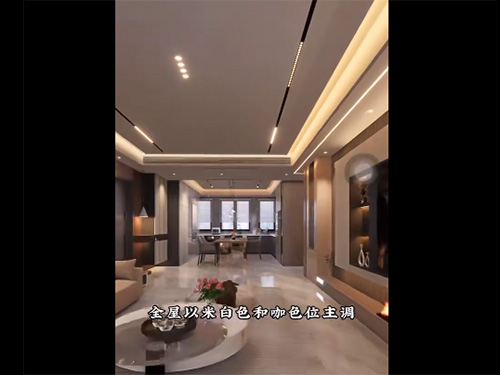 视频展示
